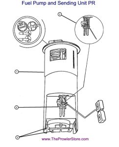 Parts_Fuel_Pump82