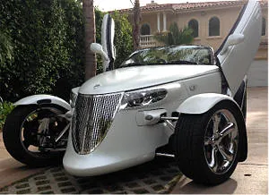 Grille_with_Lambo_drs52