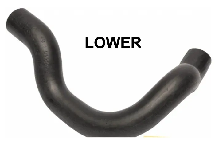 Prowler Radiator Lower hose