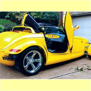 Yellow Prowler, Danny C., Paducah, Kentucky