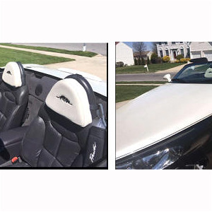 Woody White, Custom Prowler, Voorhees, NJ 08043