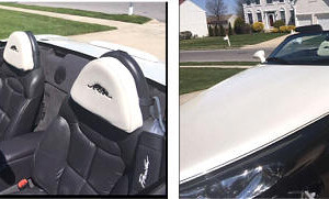 Woody White, Custom Prowler, Voorhees, NJ 08043