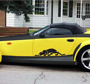 2001 Vicious Kat, Black/Yellow with black Kat logo, R Tablada, Milton, ON Canada